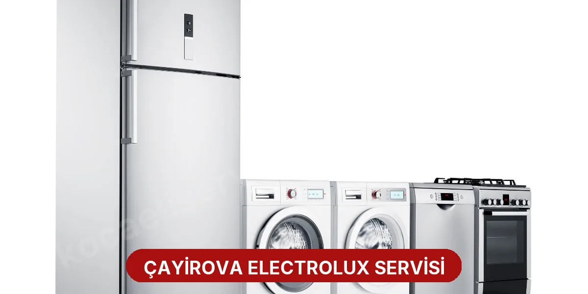 Çayirova Electrolux Servisi
