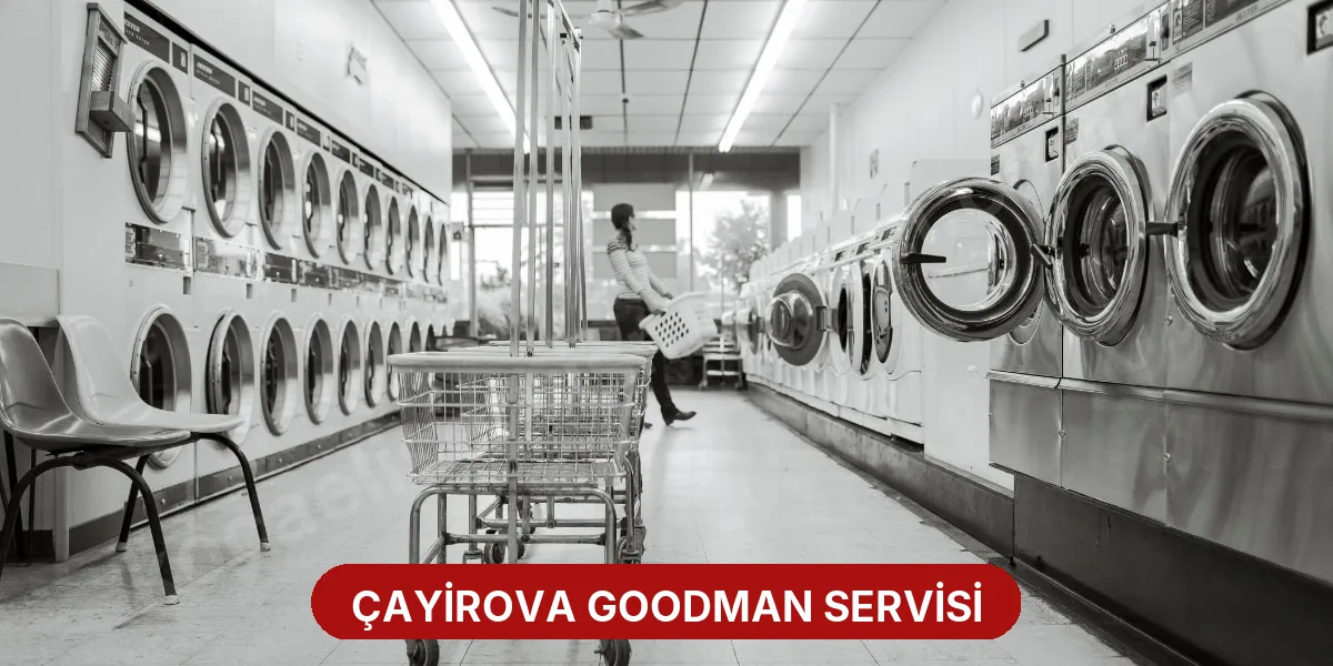Çayirova Goodman Servisi