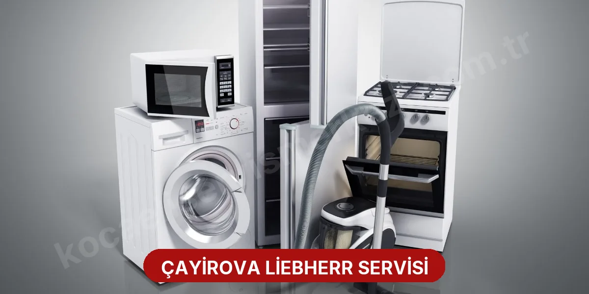 Çayirova Liebherr Servisi