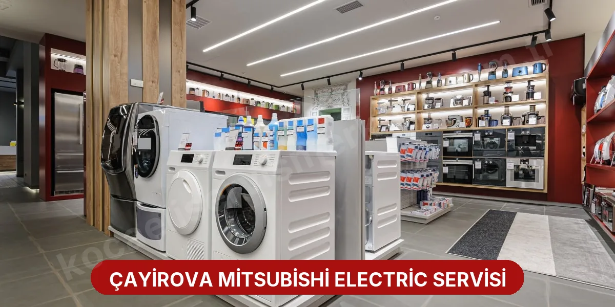 Çayirova Mitsubishi Electric Servisi