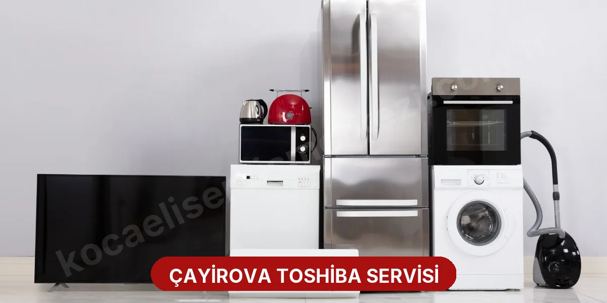 Çayirova Toshiba Servisi