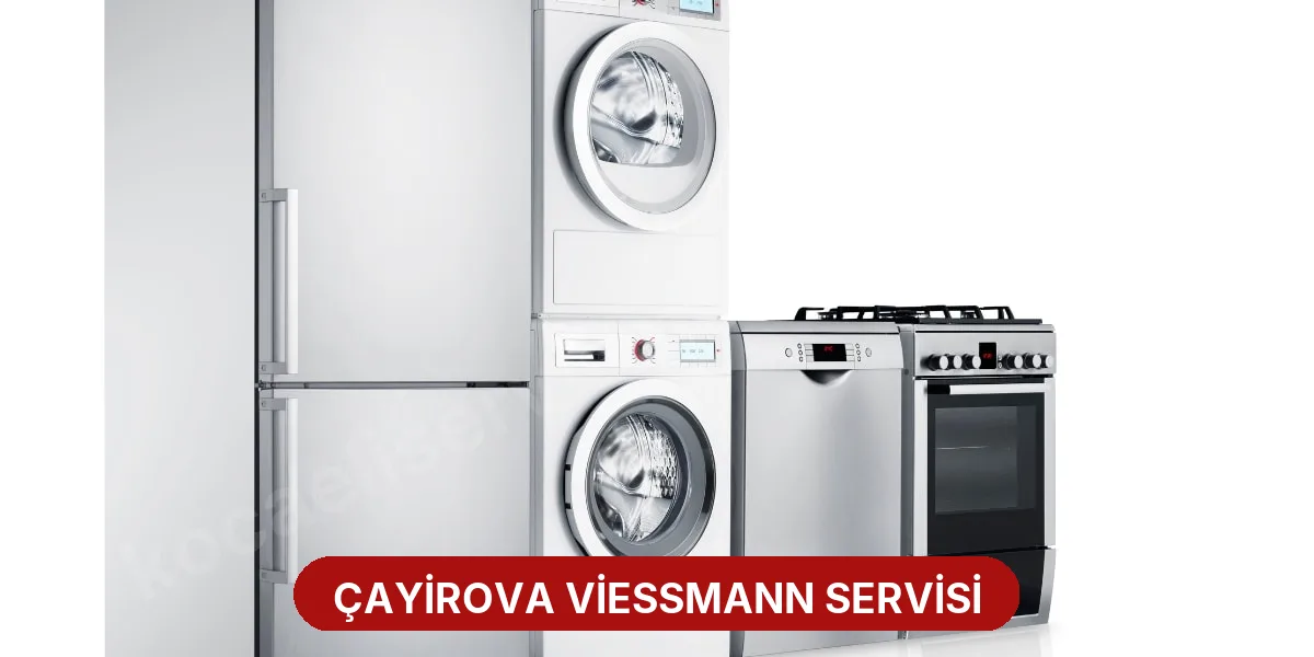 Çayirova Viessmann Servisi