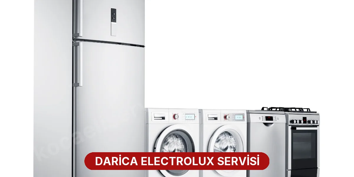 Darica Electrolux Servisi