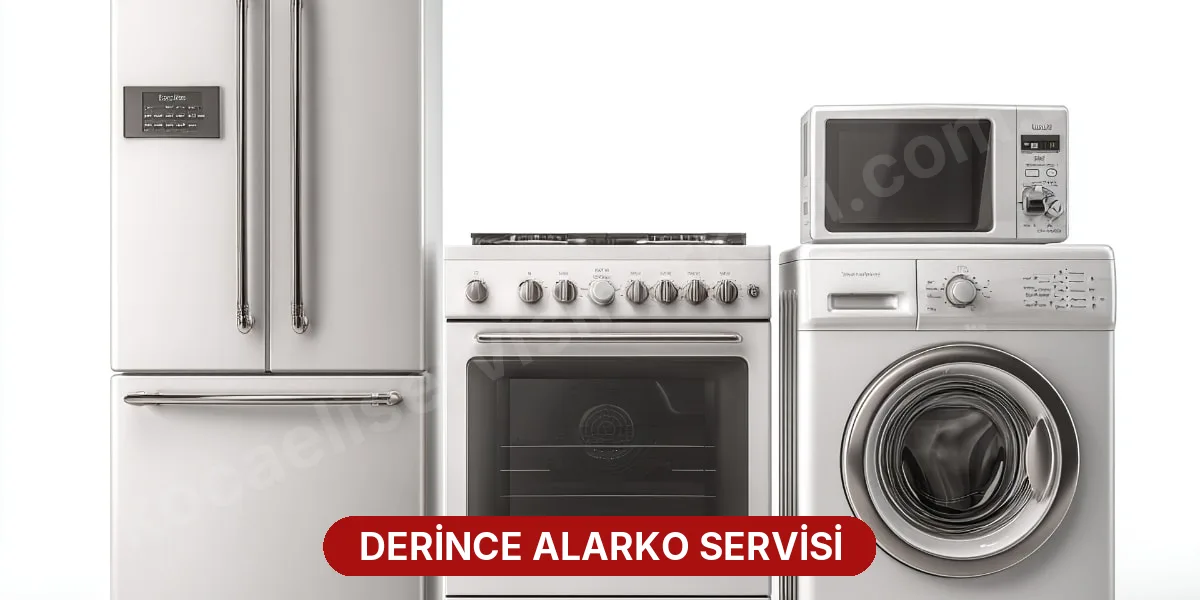 Derince Alarko Servisi