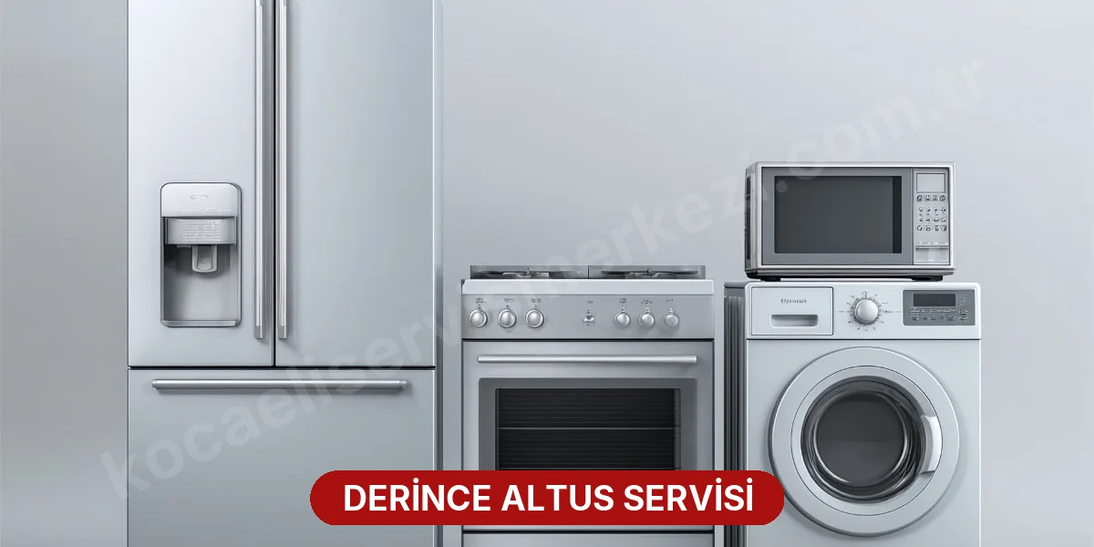 Derince Altus Servisi