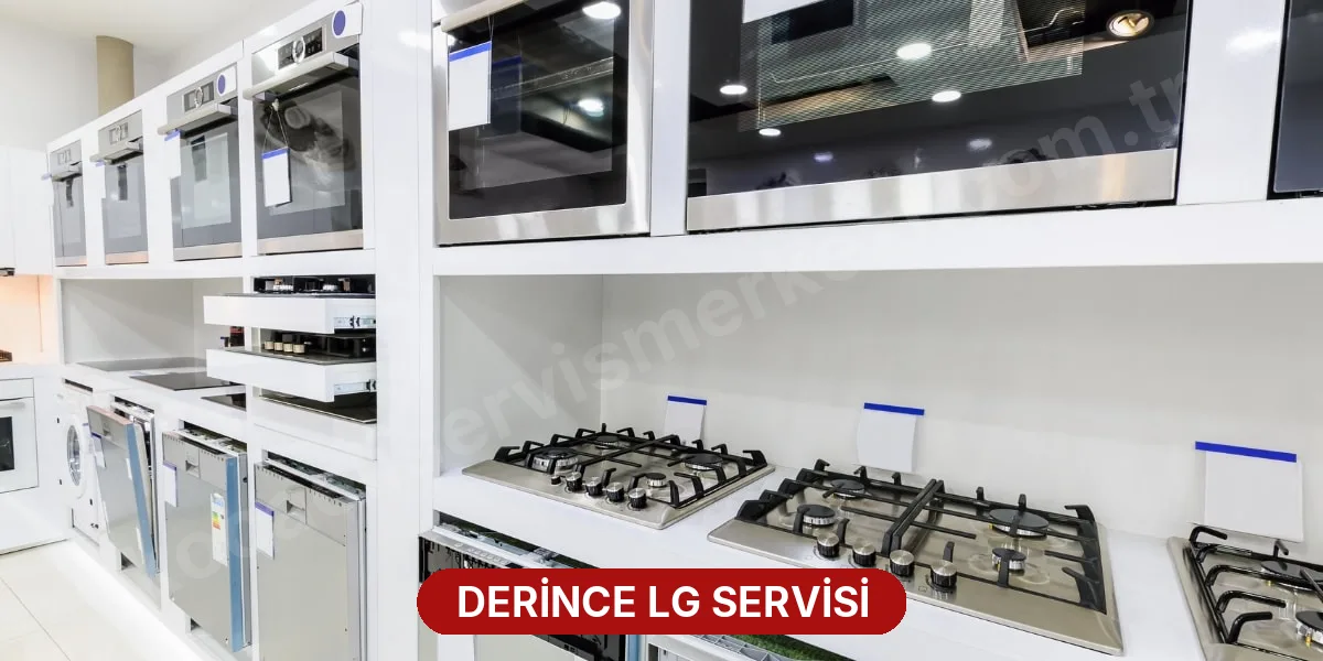 Derince LG Servisi