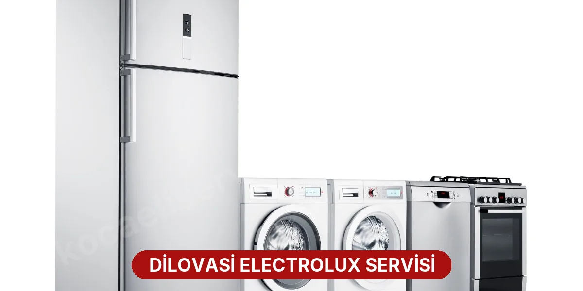 Dilovasi Electrolux Servisi