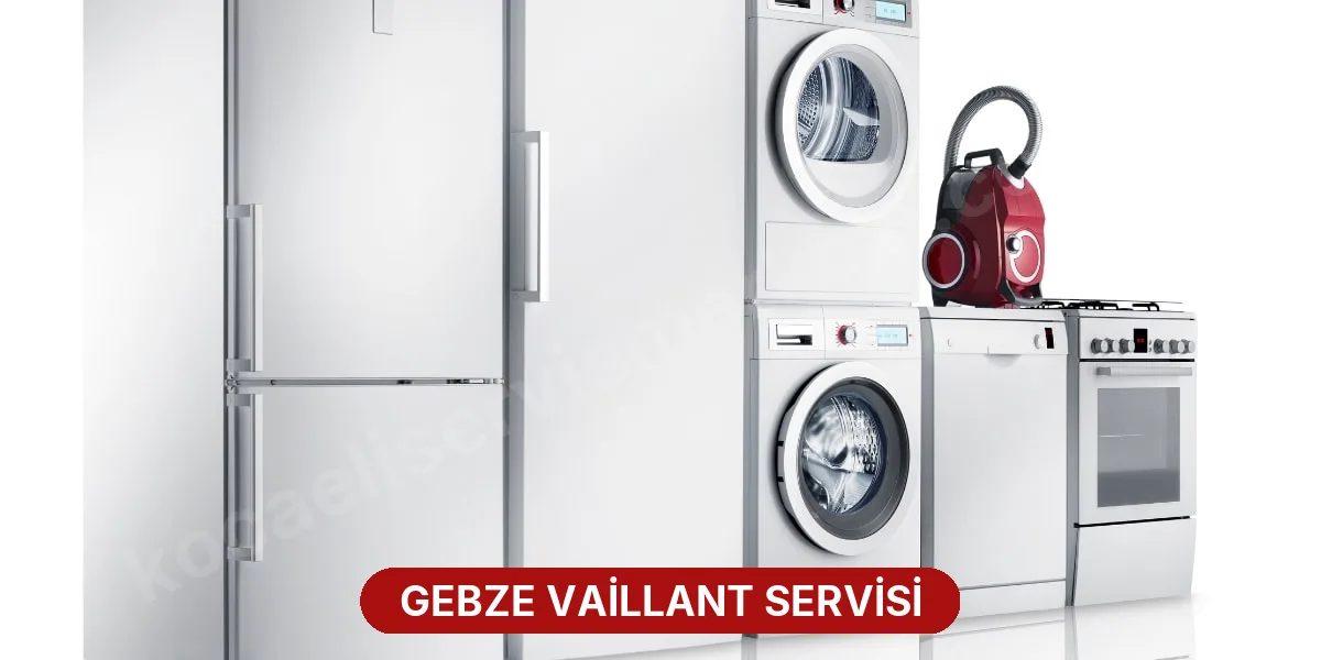 Gebze Vaillant Servisi