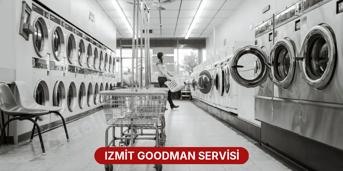 Izmit Goodman Servisi