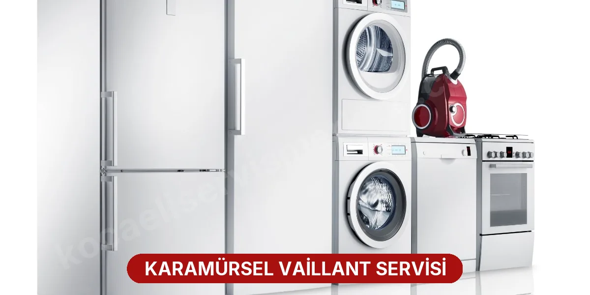 Karamürsel Vaillant Servisi