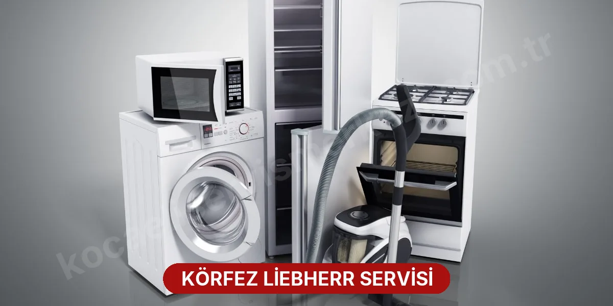 Körfez Liebherr Servisi
