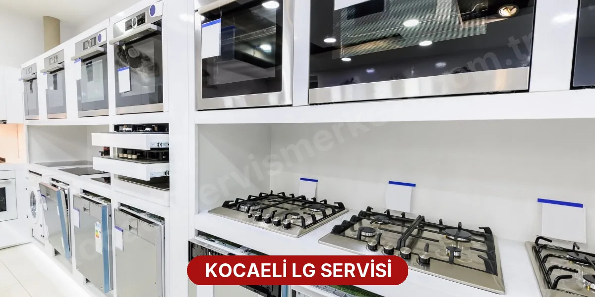 Kocaeli LG Servisi