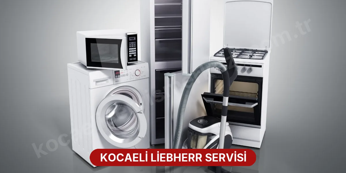 Kocaeli Liebherr Servisi